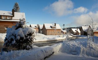 Torfhaus Harzresort