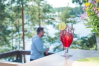 Imatran Kylpylä Spa Resort - bar