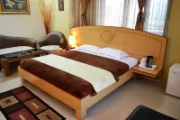 Hotel Centre Point Hotels in Kangra