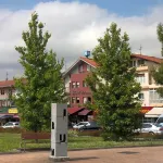 Hotel Aitana - Pet friendly