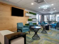 Best Western Plus Panama City Hotel Hotels in Bay County