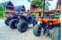 Nuanza Villa Kayu Hotels in Cisarua