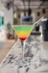 Atrion Resort Hotel - bar