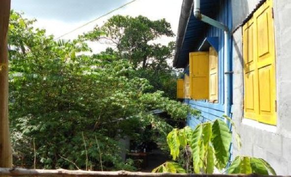 Paddy's Bamboo Guesthouse - Housity