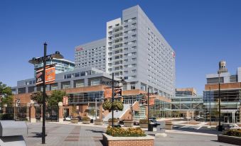5. Hilton B..