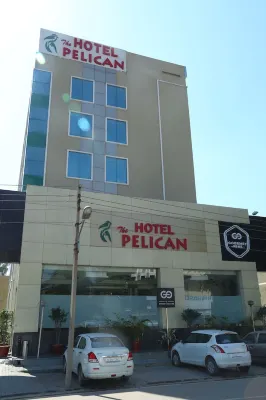 The Pelican Hotels in Chandigarh