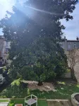 Chambres d'Hotes - le Magnolia Hotels in Villemoustaussou