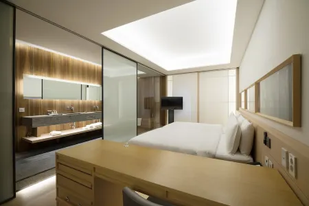 SOTETSU HOTELS THE SPLAISIR SEOUL MYEONG-DONG