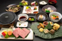 Hida Tomoe Hotel Hotels in Hida