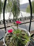 phoenix river view home stay in the water