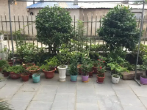 象山隆欣豪華別墅民宿（巨鷹路分店）