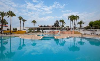 a large outdoor swimming pool surrounded by palm trees , with a building in the background at Allegro Agadir