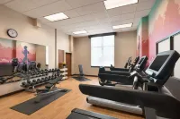 Hyatt Place Chicago Schaumburg - Gym