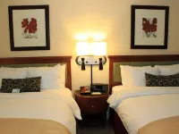 فندق سان كارلوس نيويورك Hotels near جراميرسي