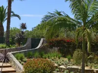 Pestana Alvor Park Suites Hotel ポルチマン空港周辺のホテル