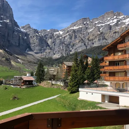 Edelweiss C