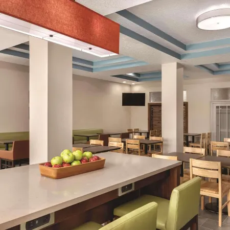 Country Inn & Suites by Radisson, Tampa Airport East-RJ Stadium Отели рядом с достопримечательностью «Зоопарк Лоури»