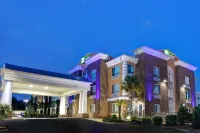 Holiday Inn Express & Suites Anderson-I-85 (Hwy 76, EX 19B)