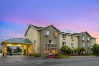 Comfort Inn & Suites Redwood Country - Wifi
