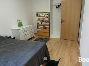 Beautiful Large Apartment in Leibnitz Center