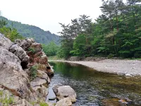 Yang Yang Sangol Yeohang Pension - Pensions