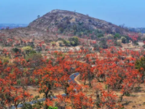 Palash Pahar Resort Hotels in Purulia