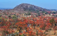 Palash Pahar Resort