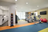 休斯頓韋伯斯特希爾頓惠庭酒店 - 健身室/gym room