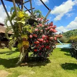 hotel fazenda tirolesa park Hotel dekat City Museum