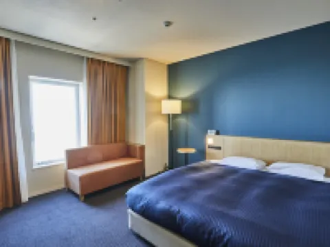 關西機場華盛頓酒店 泉佐野市酒店