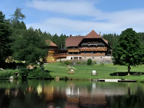 Landhaus Lauble Hotels in Wolfach