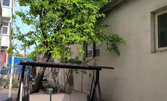 Shuge Apartment (Ginkgo West Road)