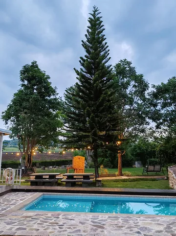 รูปภาพของเลส คอลลิเนส รีสอร์ต