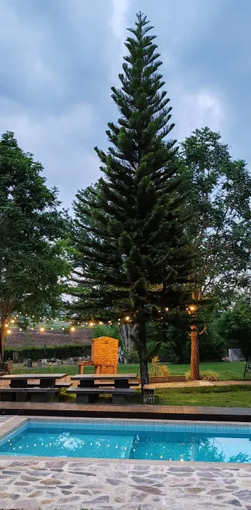 เบสิกเคบิน