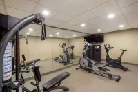 Sleep Inn & Suites North Mobile Saraland - Phòng Gym