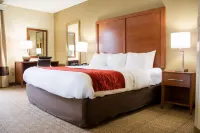 Comfort Inn Hotels in Dickson