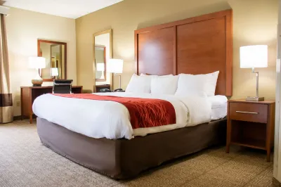 Comfort Inn Hotels in Dickson