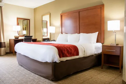 Comfort Inn Hotels in Dickson