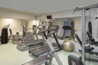 金色鬱金香安娜圓頂酒店 - 健身室/gym room