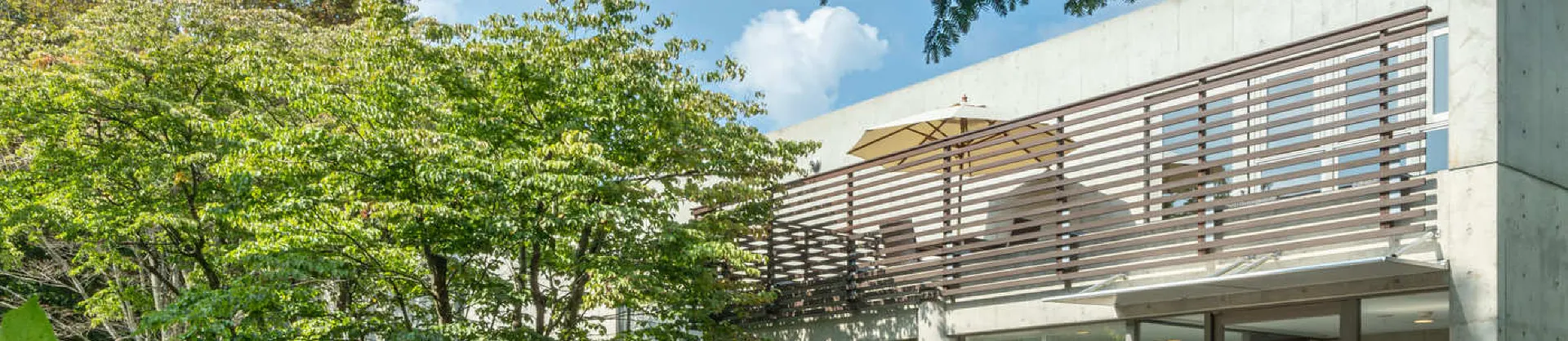 Gehobene Hotels 