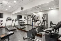 Best Western Plus Daphne Inn  Suites - gimnasio