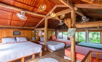 Toce House TA Van