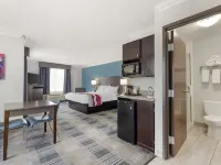 Best Western Medical Center North Inn Suites Near Six Flags Hotels in Bexar County