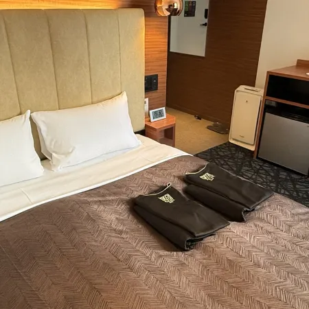 Place Hotel Ascot Отели в г. Кумамото