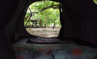 Eco-Camping Mango Feliz Rincon del Mar