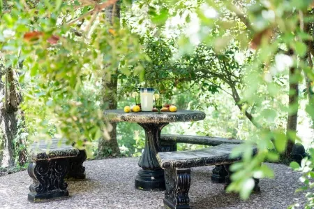 9 Suites on 73 Acres - Horse Oasis - 12bd Inn - Brenham - 10min to Round Top