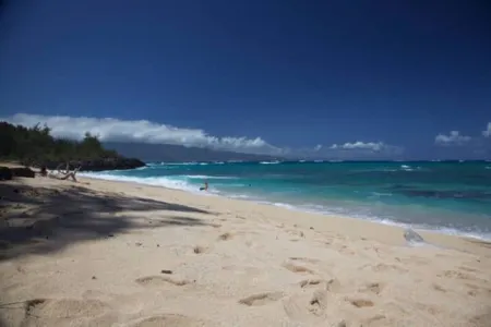 Honeymoon Bliss: Bamboo Temple with Ocean Views at Maui Eco Retreat