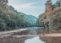 Elk View Cabin in Boxley Valley - 5 min to the Buffalo River!