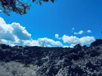 Spacious 7 bedroom, 4.5 bathroom, 5-7 minutes to downtown