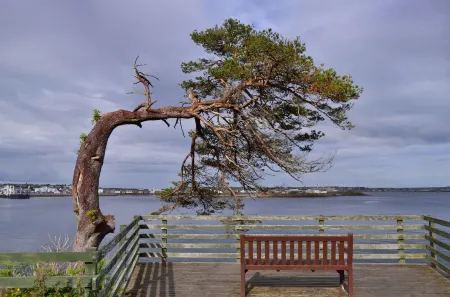 The Corner Cottage Sandwick Отели рядом с достопримечательностью «Батт оф Льюис Лайтхаус»